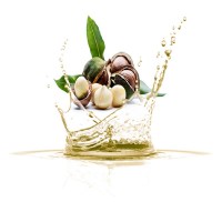 macadamia-oil-ladi-makantamia